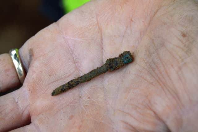 A copper alloy pin found on the site of Delapre Abbey