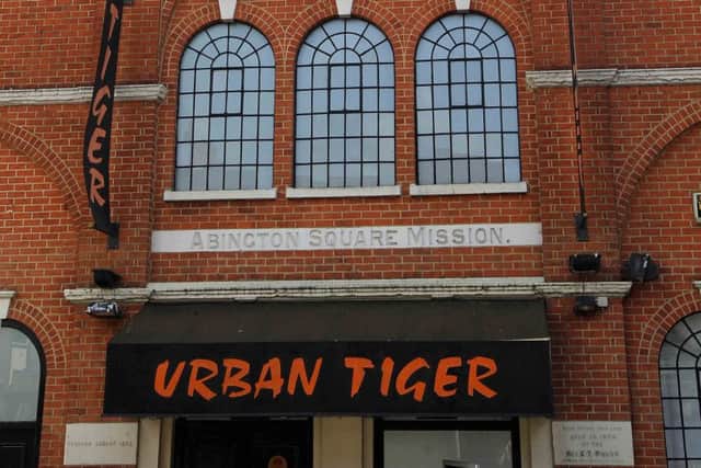 Urban Tiger in Abington Square.