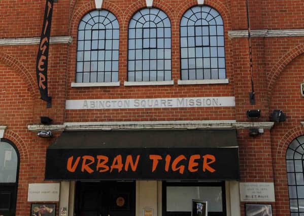 Urban Tiger in Abington Square.