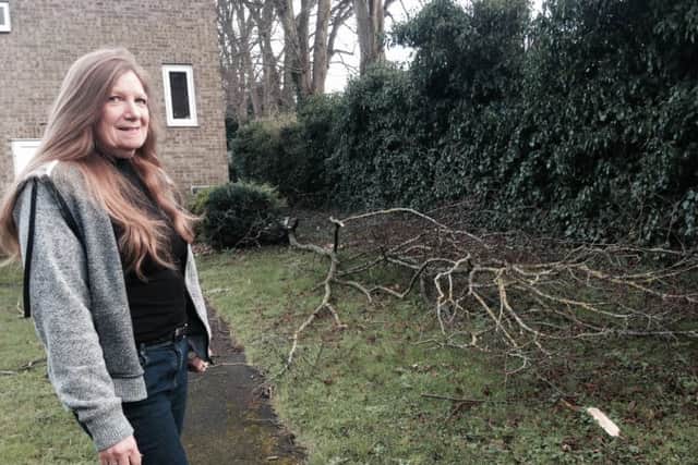 Karen Crook stands by a recent branch to have fallen from the tall lime trees next to Coverack Close.