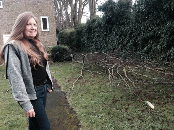 Karen Crook stands by a recent branch to have fallen from the tall lime trees next to Coverack Close.