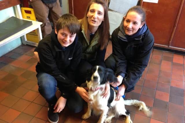 Bella from Rothwell reunited with owner Sarah Osborne