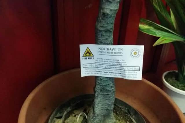 A plant placed outside a resident's door has been demed a fire risk by Northmapton Partnership Homes