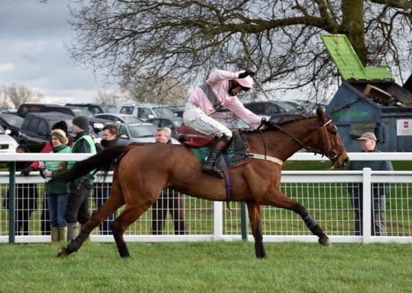 CHEAT The Cheater was a winner at Towcester as recently as February 4 and could again take his chance at the Northamptonshire track on Wednesday in the Jim Dimmock 50 Years In Racing Memorial Handicap Chase (Picture courtesy of www.gjmultimedia.co.uk)