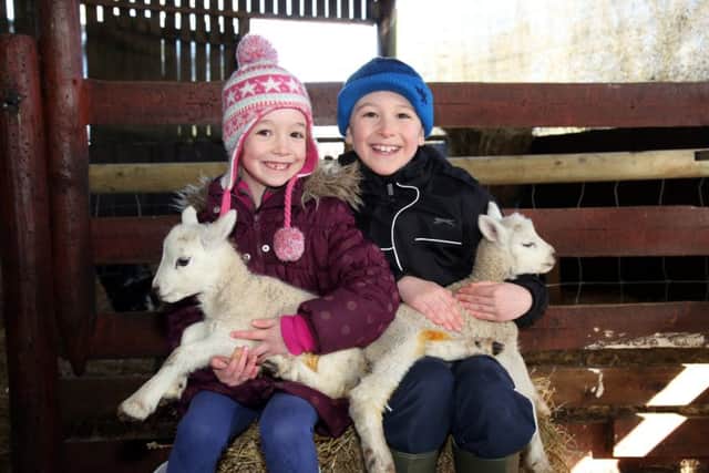Lily Baish, six, and brother Jack Baish, eight, with week-old twin lambs at West Lodge