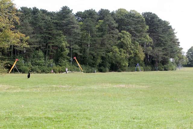 GV of Eastfield Park. ENGNNL00120111008180756