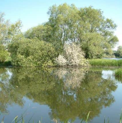 Ditchford Lakes