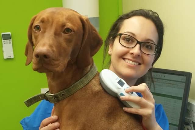 Natasha Sangherra scans Ruby for microchip