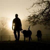 Dog walkers' warning