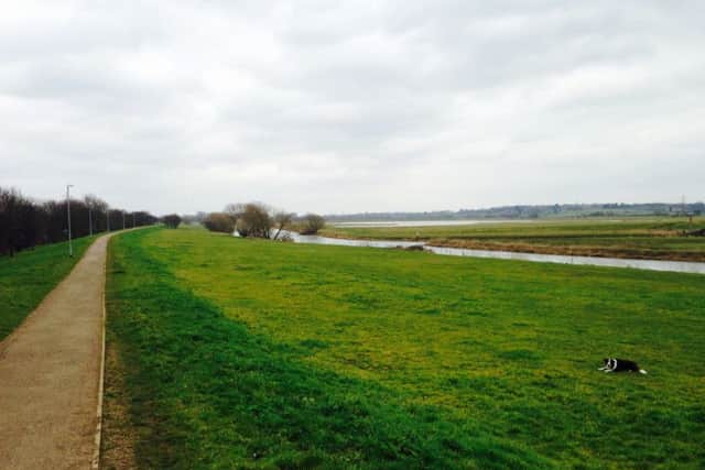 The cycle path which runs alongside the River Nene - as it usually looks without the flooding.