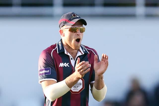 David Willey is set to play in the World Twenty20 final