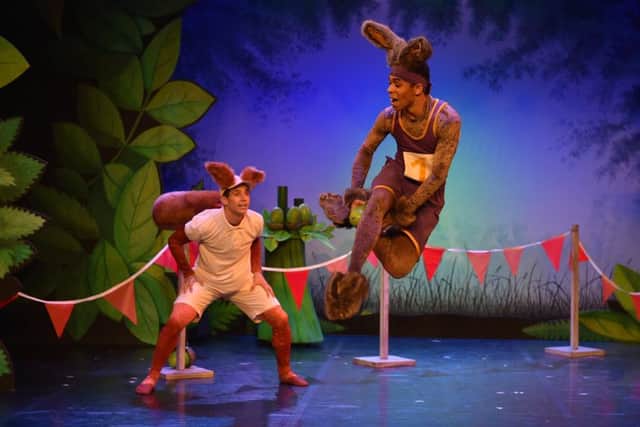 Tortoise and the Hare by Northern Ballet