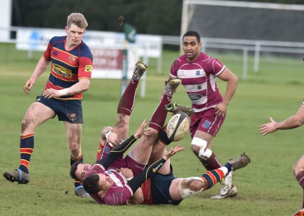Action from Old Northamptonians' emphatic win over Newport (Pictures: Dave Ikin)