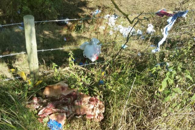 The fly-tipped waste in Woodford