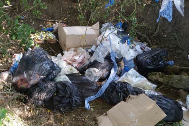 Some of the dumped waste