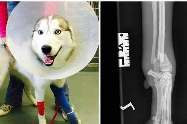Picture: Northamptonshire RSPCA