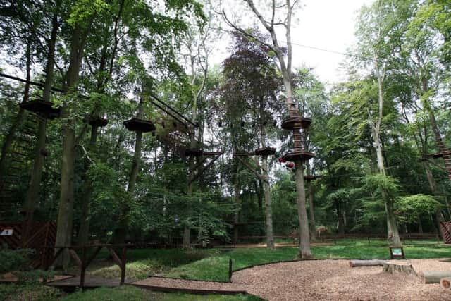 Tree Ninja at Salcey Forest. A high-wire obstacle course amongst the trees. ENGNNL00120130813190907