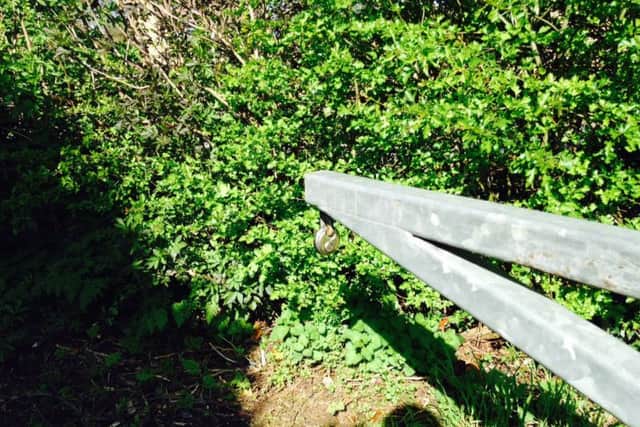 The bridle path between Hunsbury Hill Avenue and Sixfields has become a hotspot for motorbikes.