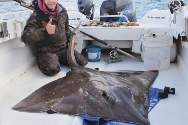 YOUD need a ton of chips with this! Vince Rogers boated this 190lb skate  returned alive  off Scotlands Isle of Jura