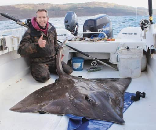 YOUD need a ton of chips with this! Vince Rogers boated this 190lb skate  returned alive  off Scotlands Isle of Jura