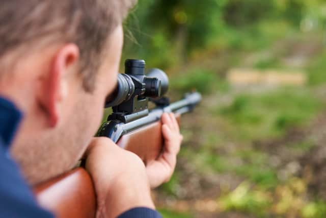 Almost half of cats shot with an air gun die from their injuries NNL-160531-155509001