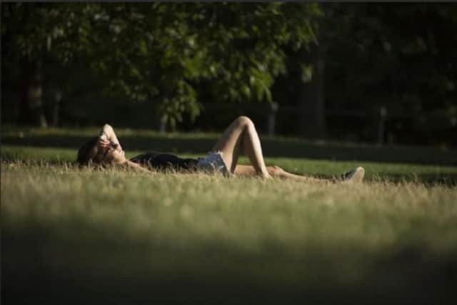 Why your hayfever is acting up - and how to stop it