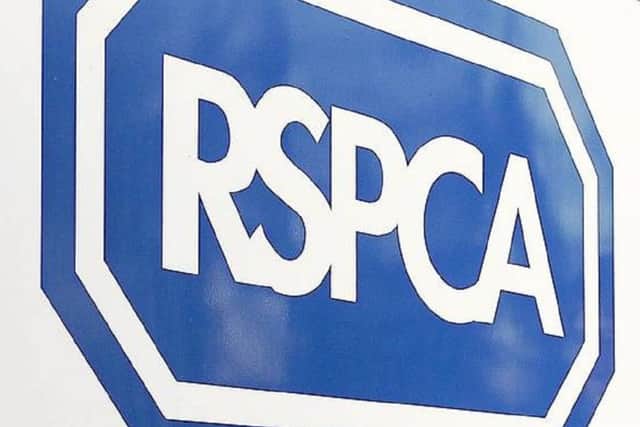The RSPCA is investigating the cat's death