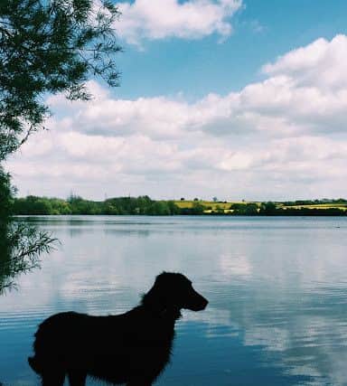 Chloe Pearson from Thrapston, Kettering. This photo was taken while on a walk with her sister and her dog, who is seen looking out on to Thrapston boating lake.