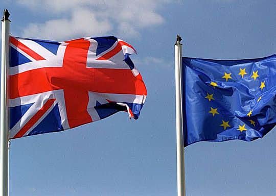 The EU Referendum