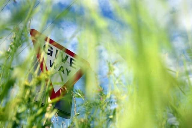 Councils across Northamptonshire have been lambasted over unkempt grass verges which have not been cut for up to two months.