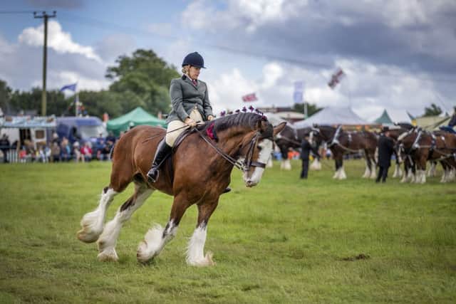 Hollowell Steam Rally and Heavy Horse Show 2016 NNL-160307-113922009