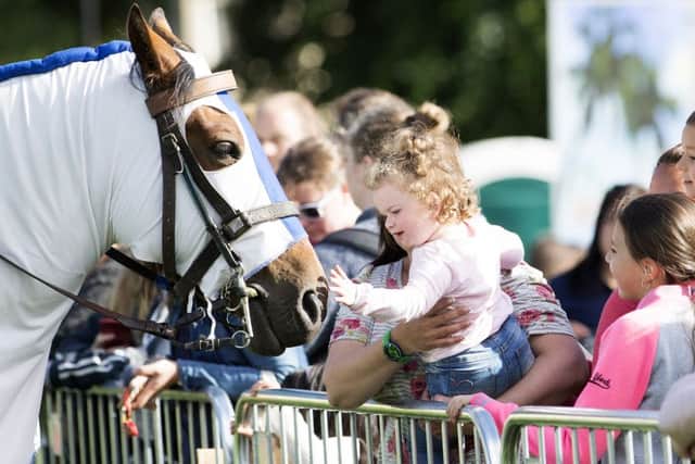 Northampton Town Festival, Northampton Racecourse. NNL-160307-102800009