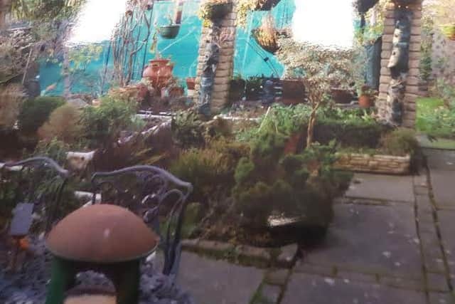 A cat was trapped in a snare set up in the back garden of a house in Northampton
