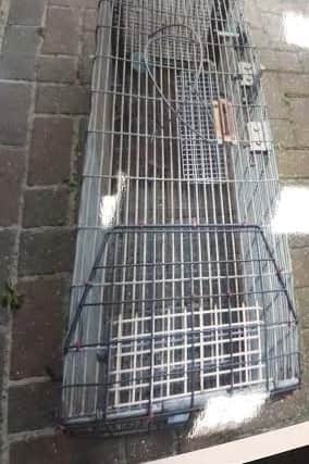 Trap cages were also found in the back garden of Terry Blanch, aged 74, of Northampton