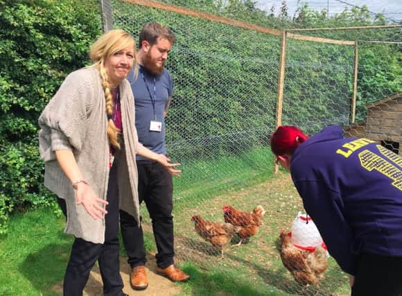 Staff at Kings Heath Primary School believe two chickens have been stolen from the coup earlier this week.