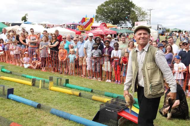 Blisworth Canal Festival.
Ferret racing. NNL-151008-134119009