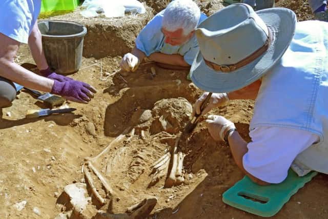The team working on the remains