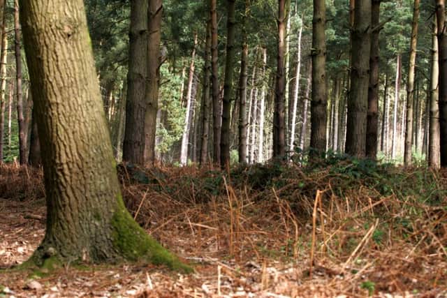 A Northampton man is accused of taking an American teenager to Harlestone woods and attempting to murder her