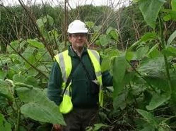 Brian Taylor says Northampton Borough Council needs to revise its strategy for tackling Japanese knotweed, before it has a real problem on its hands.