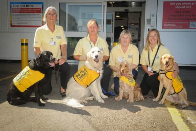 Volunteers of the year winners, 'Pets as Therapy' team