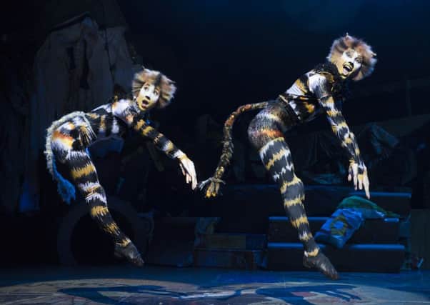 Cats is on at Milton Keynes Theatre this week