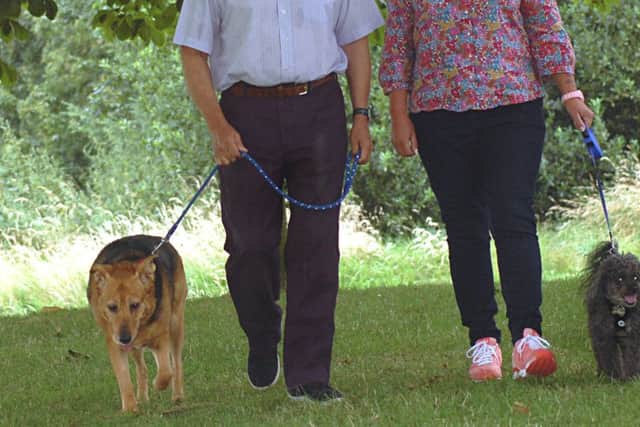 Dog walkers