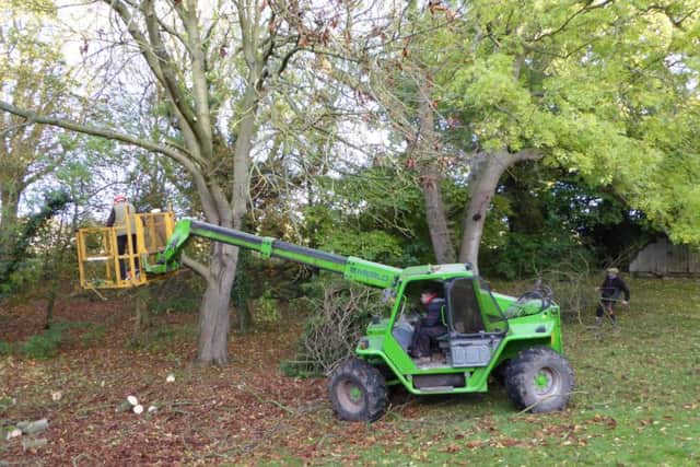 Farming Matters. Tree work in the garden. Picture copyright Heather Jan Brunt