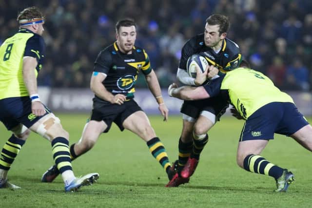 Saints were beaten by Leinster (pictures: Kirsty Edmonds)