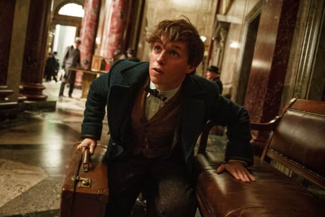 Eddie Redmayne in Fantastic Beasts and Where to Find Them
