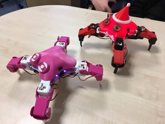 University graduate sets up robotics company with emphasis on helping school children with engineering