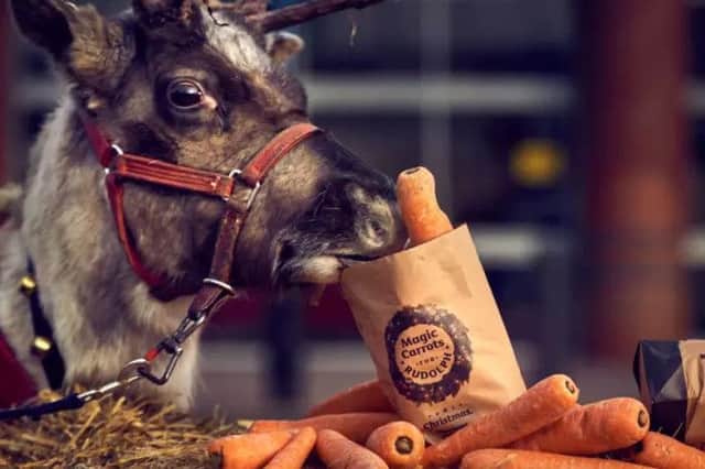 Morrisons supermarkets across the UK will be giving away 200,000 wonky carrots in an effort to support the Christmas tradition of leaving out refreshments for Father Christmas and his trusty reindeers on Christmas Eve.