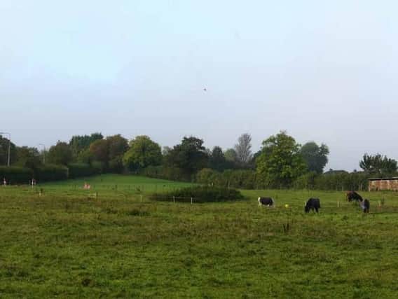 Gladman Developments Limited wants to build 75 homes on this stretch of land outside Northampton.