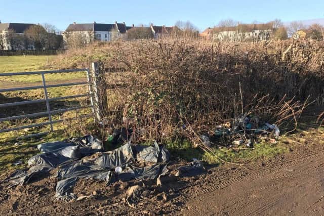 Angry dog walker fed up after months of fly tipping in Northampton country park