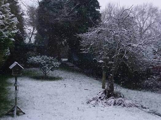 Janet Heeler took this picture of Blisworth in the blizzard.